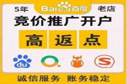 解析SEM推广代运营的五大成功要素